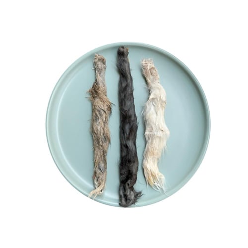 فراء أرانب بالكاتنيب