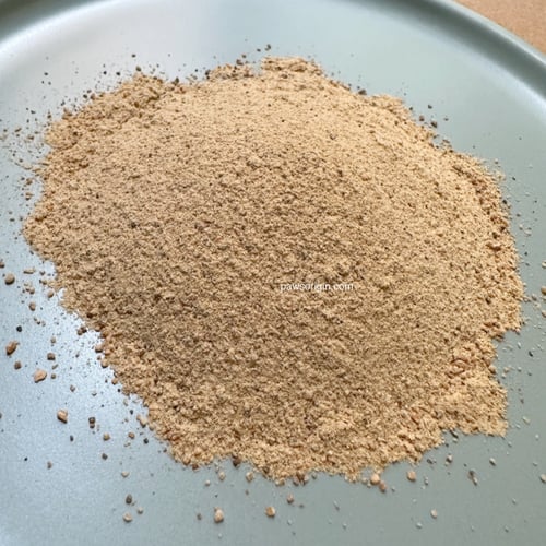 بودرة بلح البحر الأخضر