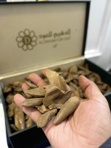 مروكي الفخامة طبيعي