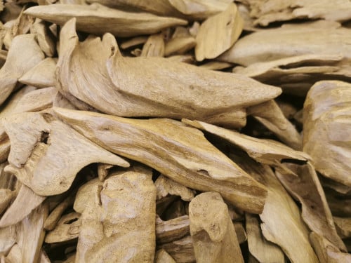 عود مروكي دبل سوبر اصقون طبيعي حجكم كبير