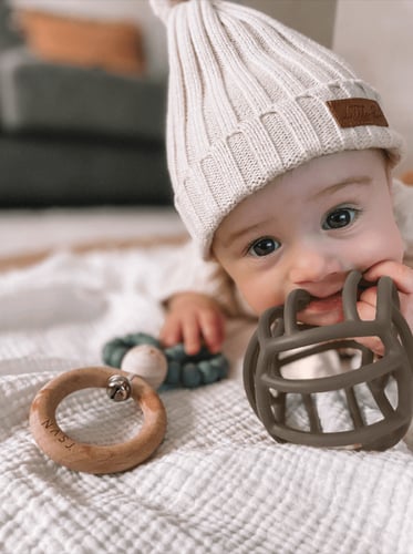 عضاضة الكورة | سيج