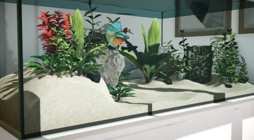 Aquarium in Cafe - XBOX