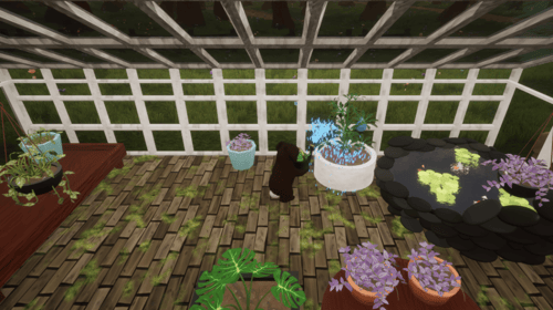 Bunhouse - XBOX
