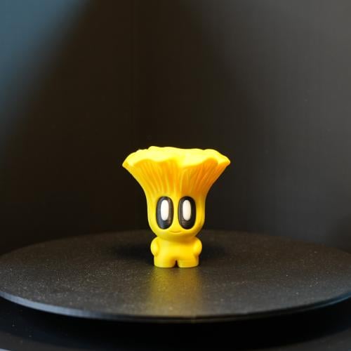 Golden Chanterelle Mushroom