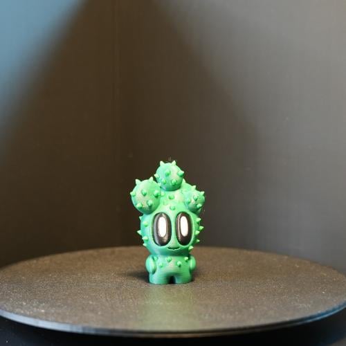 Shoki Cactus Decor