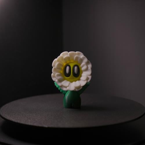 Daisy Flower Decor