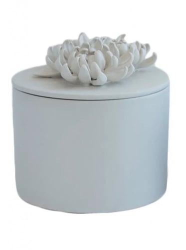 عُلب أنيقة | Blue Shades