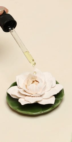 هدية فوّاحة عطرية أخضر | B12