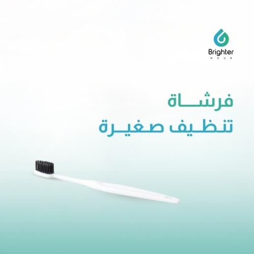فرشاة تنظيف صغيرة