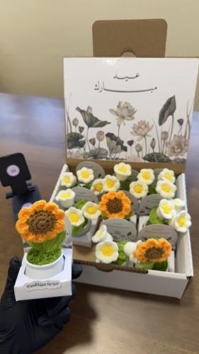 فازة ورد العيد(دوار الشمس)