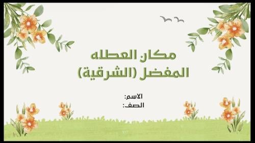 عرض بوربوينت (مكان العطلة المفضل "الشرقية") رابع م...