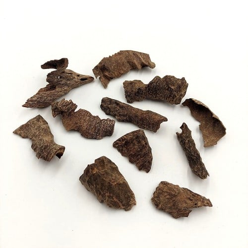 زوايا فيتنامي سوبر ودبل سوبر