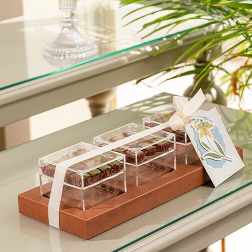 إليجنت بوكس