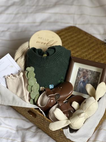 سلة مولودة شتوية