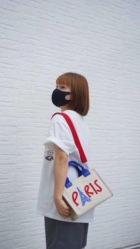Paris bag