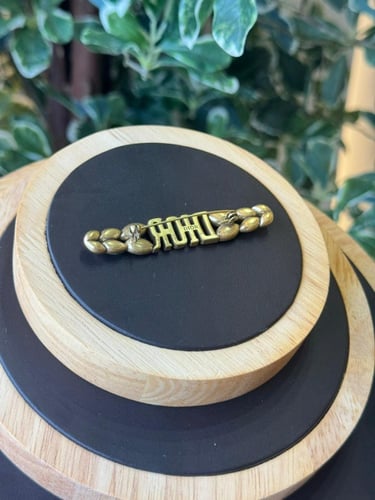 DIOR بروش ديور