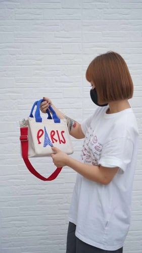 Paris bag