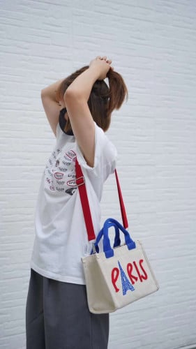 Paris bag