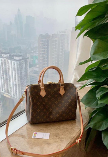 LOUIS VUITTON حقيبة لويس فيتون