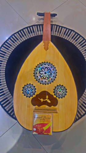 Egyptian educational oud + German crystal strings...
