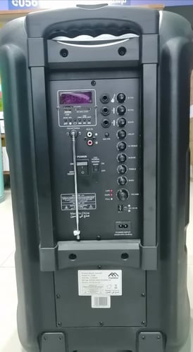 PROFESSIONAL SPEAKER system