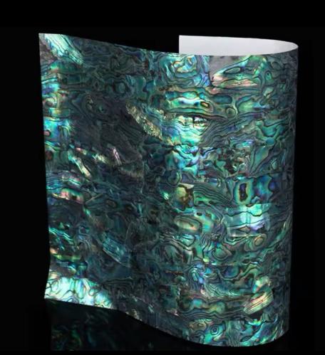 صدف لاصق لترصيع الآلات