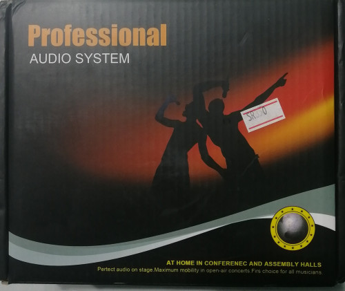 Professional Audio system