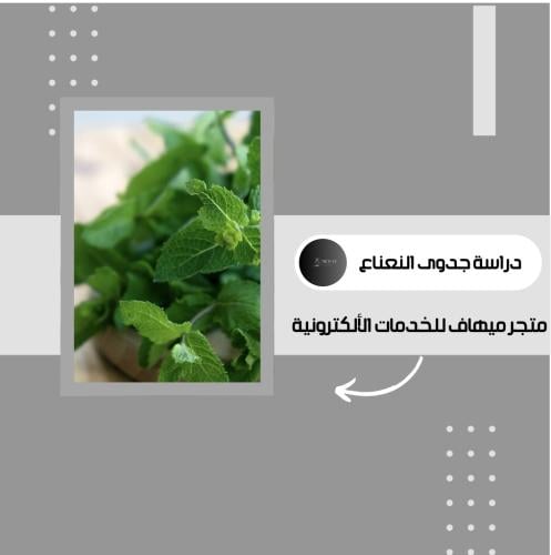 دراسة جدوى النعناع