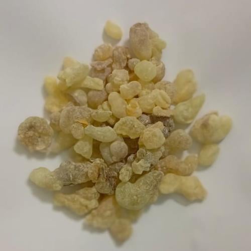 لبان ذكر عماني ( حوجري )