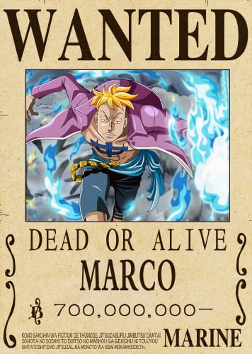 بوستر ماركو العنقاء