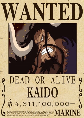 بوستر كايدو ملك الوحوش