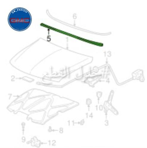 ربلة الكبوت امريكي