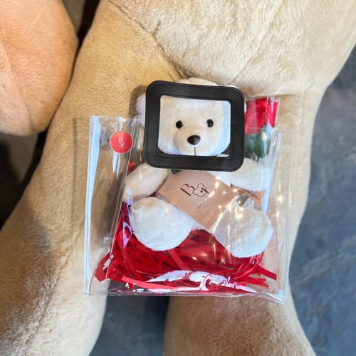 Biege bear gift