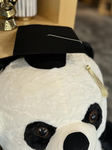 Graduation panda