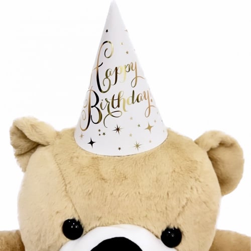 قبعة بيرثداي