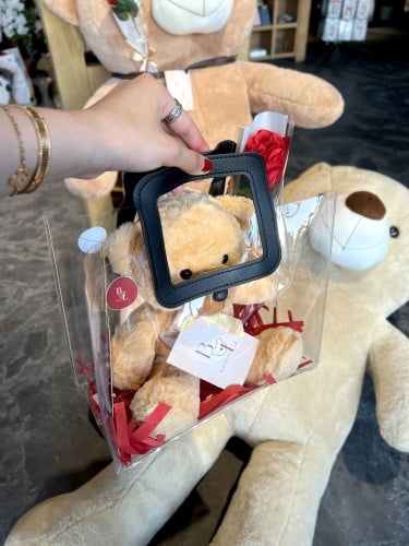 Biege bear gift