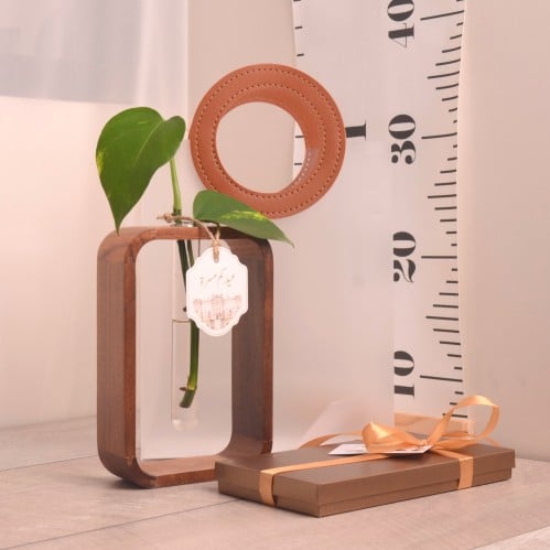 وعاء تجذير خشبي أنيق مع علبة شوكولانة هدية العيد