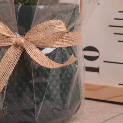 زاميا مع حوض سيراميك حجري هدية العيد