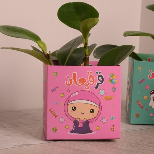 ببروميا توزيعات الناصفة والقرقيعان