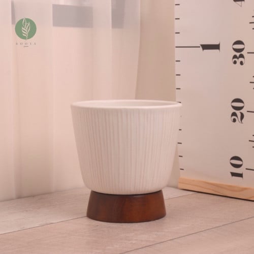 وعاء زرع من هارلي (ويست إلم)