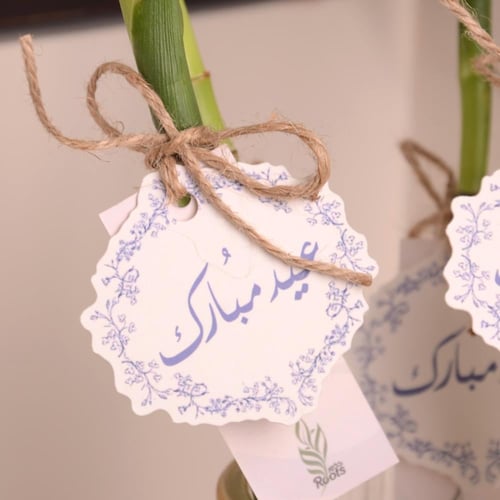 توزيعات ساق البامبو مع تاق القرقيعان والناصفة