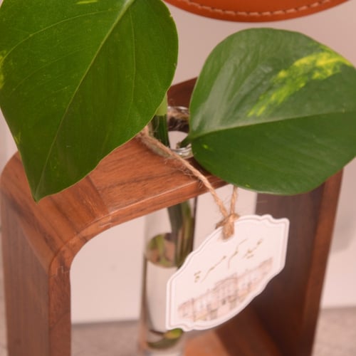 وعاء تجذير خشبي أنيق مع علبة شوكولانة هدية العيد