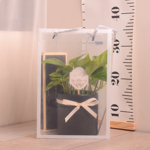 سكندابسس ماربل كوين( بوتس) مع حوض سيراميك ملون هدا...