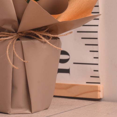 زاميا مغلفة هدايا العيد