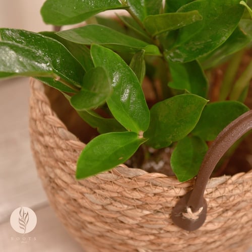 سلة خوص بمقبض من الجلد