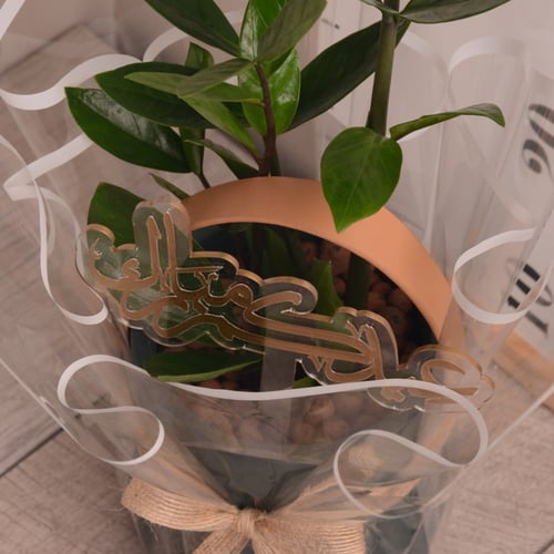 زاميا مع حوض سيراميك حجري هدية العيد