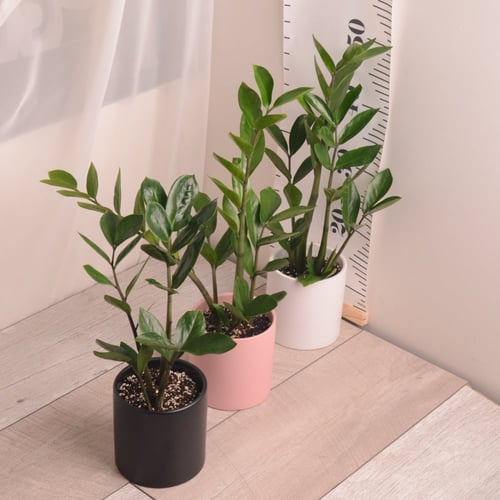 زاميا مع حوض سيراميك بألوان