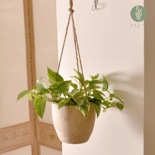 حوض خشبي معلق