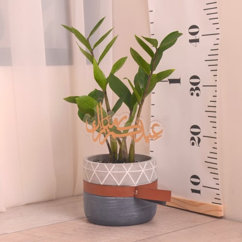 زاميا مع حوض سيراميك كحلي بحزام بني