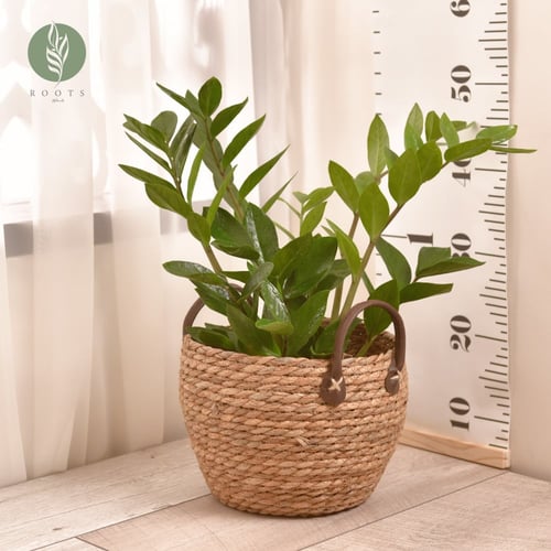 سلة خوص بمقبض من الجلد